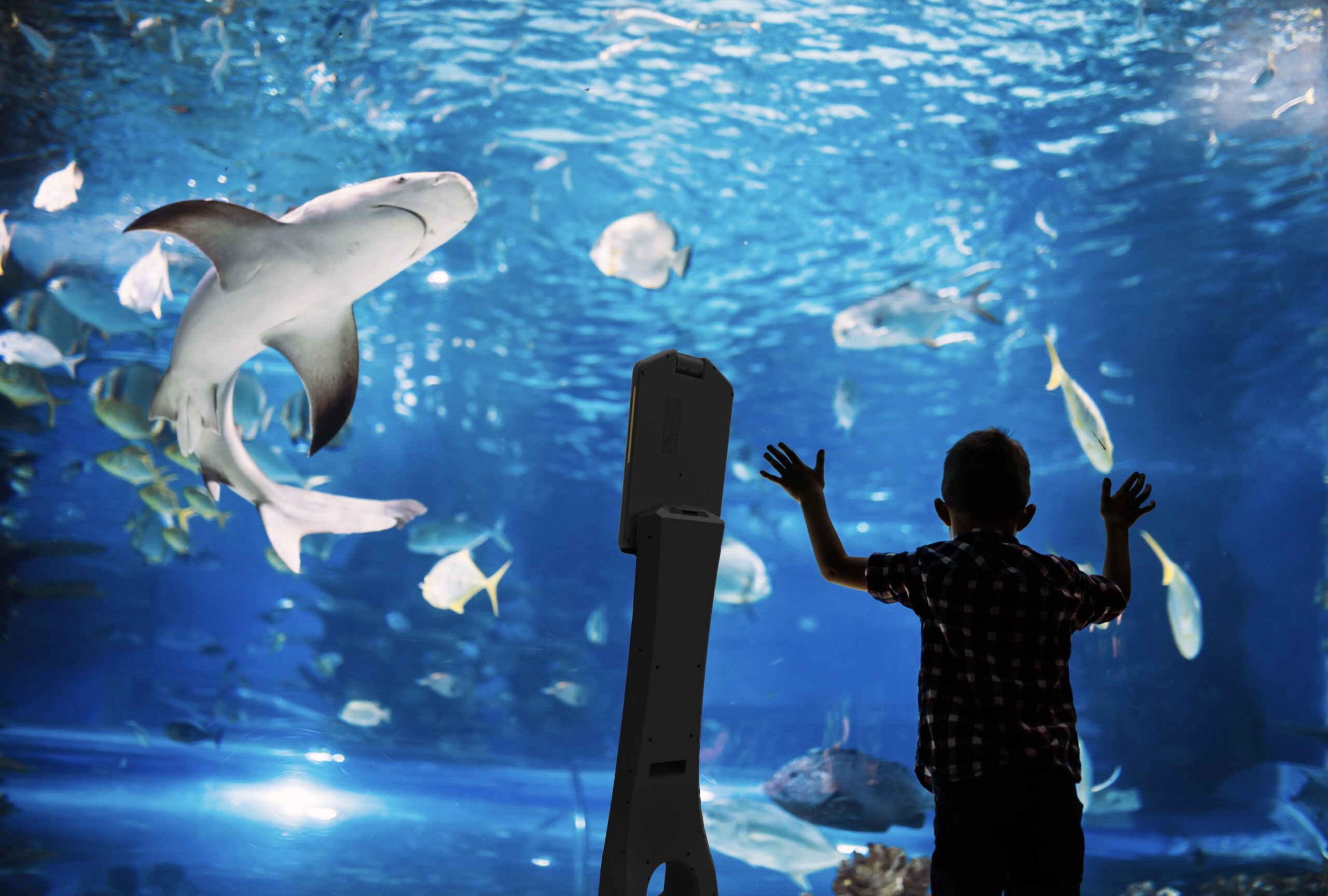 Telepresence tour with a child at the aquarium